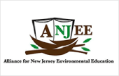 Anjee Logo