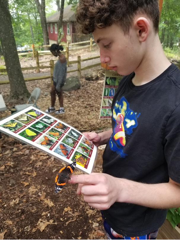 Nature Day Image (2)