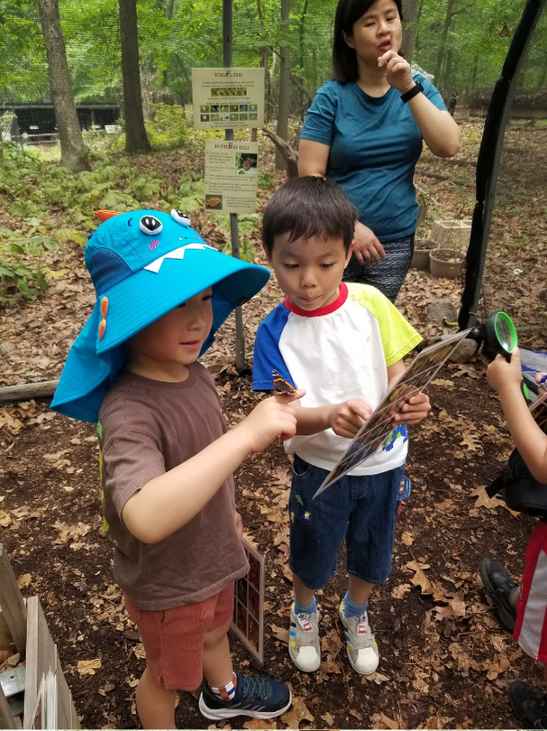 Nature Day Image (7)