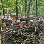 Endless opportunities for discovery, wonder, and fun