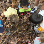 Unplugged adventures