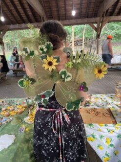 Fireflies and Faeries (13)