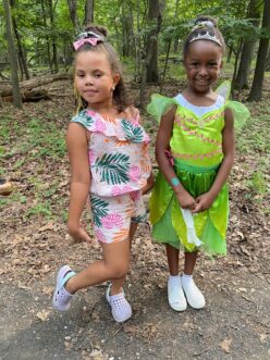 Fireflies and Faeries (2)