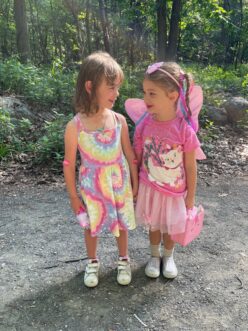 Fireflies and Faeries (3)