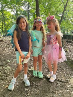 Fireflies and Faeries (4)